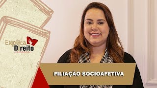 Explica Direito Filiação Socioafetiva  2019 [upl. by Brower]