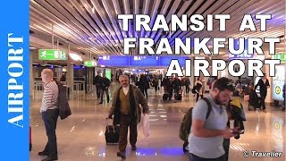 TRANSIT WALK AT FRANKFURT Airport FRA Terminal 1  Connection Flight Transfer Arriving amp Departing [upl. by Aserehs]